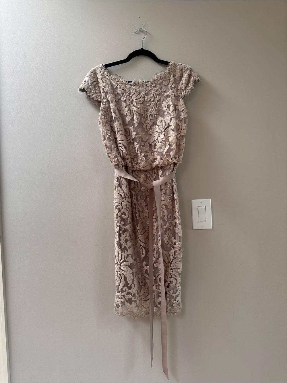 Tadashi Shoji Elegant Lace Belted Blush Dress